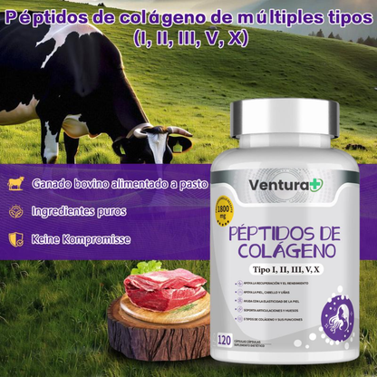 Peptidos De Colageno